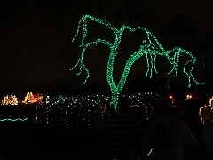 094 Toledo Zoo Light Show [2008 Dec 27]